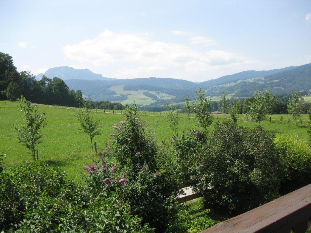 Obermoarhof Apartment อังกา ภายนอก รูปภาพ
